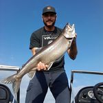 Devin Strong - @devin.huntfish - Instagram