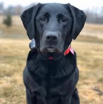 Devin Sutherland - Facebook