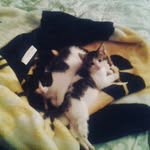 Devin Michael Talley - @asapdev04 - Instagram
