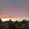 Devin - @devintarpley - TikTok