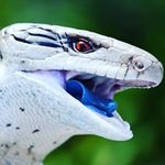 Devin Thurman - @devin_thurman100 - Instagram