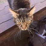 David Devin Tice - @david.tice07 - Instagram