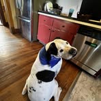 Devin Tickle - Facebook