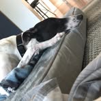 Devin Toth - Facebook