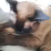Devin - @devintraeger - TikTok