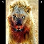 this_is_devin_true - @this_is_devin_true - Instagram