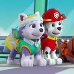 Devin Wallace - @marshall_the_firepup__7582 - Instagram