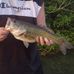 Devin Wheeler - Facebook