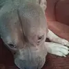 Devin Wheeler - @devin.wheeler98 - TikTok