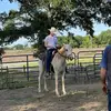 Devin_whitfield - @devinwhitfield377 - TikTok