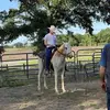devinwhitfield4 - @devinwhitfield4 - TikTok