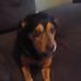 Devin Wiggins - Facebook