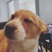 Devin Wilcox - Facebook