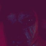 Devin Wirt - @wirt01 - Instagram