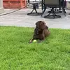 devin_werth - @devin_werth - TikTok