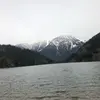 Devin_wirth - @ddogw6 - TikTok
