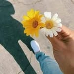 ﺣﯡۧﯡﻣﺻۧﻲ ﭔﭑﺂﺳﻣﭑ - @devlinmanningjr20 - Instagram