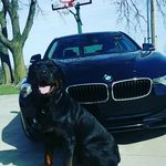 Devon Adkins - @devona5 - Instagram
