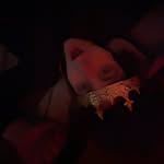 Devin Aldridge - @dev1na0._.7 - Instagram