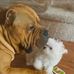 Devyn Alston - Facebook