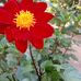Devin Ansell - Facebook