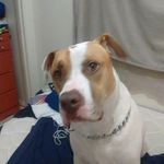 devonarsenault7 - @devonarsenault7 - Instagram