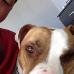 Devonarsenault - @devon_arsenault99 - Instagram