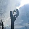 devonashburn38 - @devonashburn38 - TikTok