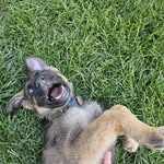 Devon Babcock - @devon.babcock - Instagram