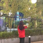 devon barlow - @devon5759ch - Instagram