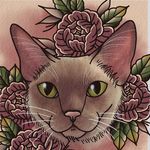 Barnaby the Cat - @barnaby.the.devonrex - Instagram