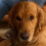 Barney - @barney_from_devon - Instagram