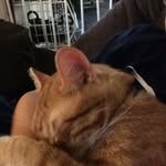Devon Barr - @catbarr2005 - Instagram