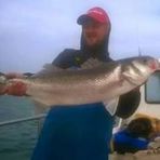 Devon and Dorset commercial bass fishing page. - Facebook