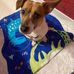 Devan Batchelor - Facebook
