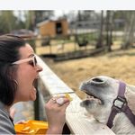 Devin Batchelor - @anxietygirlisok - Instagram