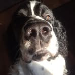 Jessie Beacham - Facebook