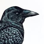Devon Beal - @drawnbydevon - Instagram