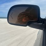 Bearden Devon - @beardendevon - Instagram