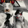 Devon Bernard - @devon.bernard8 - TikTok