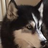 Devin Bickel - @devinbickel - TikTok