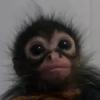 Devin Bird - @user3275360043841 - TikTok