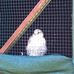 Devon Bird of Prey Centre - Facebook