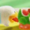 devonbirdy - @devonbirdy - TikTok