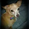 Devin Buie - @devinbuie - TikTok