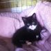 Devon Burnside - Facebook
