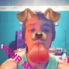 Devon casey - @Devon_Casey2001 - TikTok