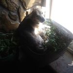 devonchappell - @devonchappell9 - Instagram