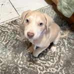 Devon Christopher - Facebook