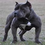 Devon Coleman - @d_coleman2006 - Instagram